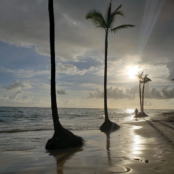 Meet your Posher, Alexandria - Picture 1 of 1